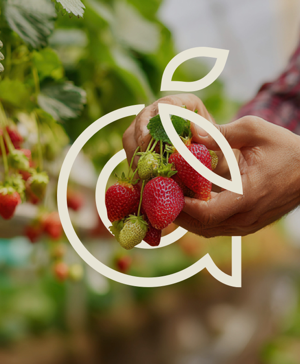 AmiciGrowers-Mobile-Hero-Image-2