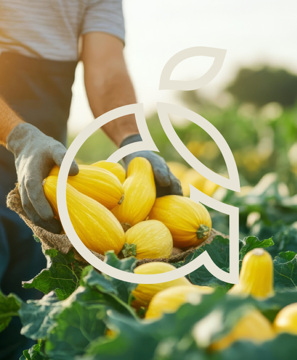 AmiciGrowers-Mobile-Hero-Image-6