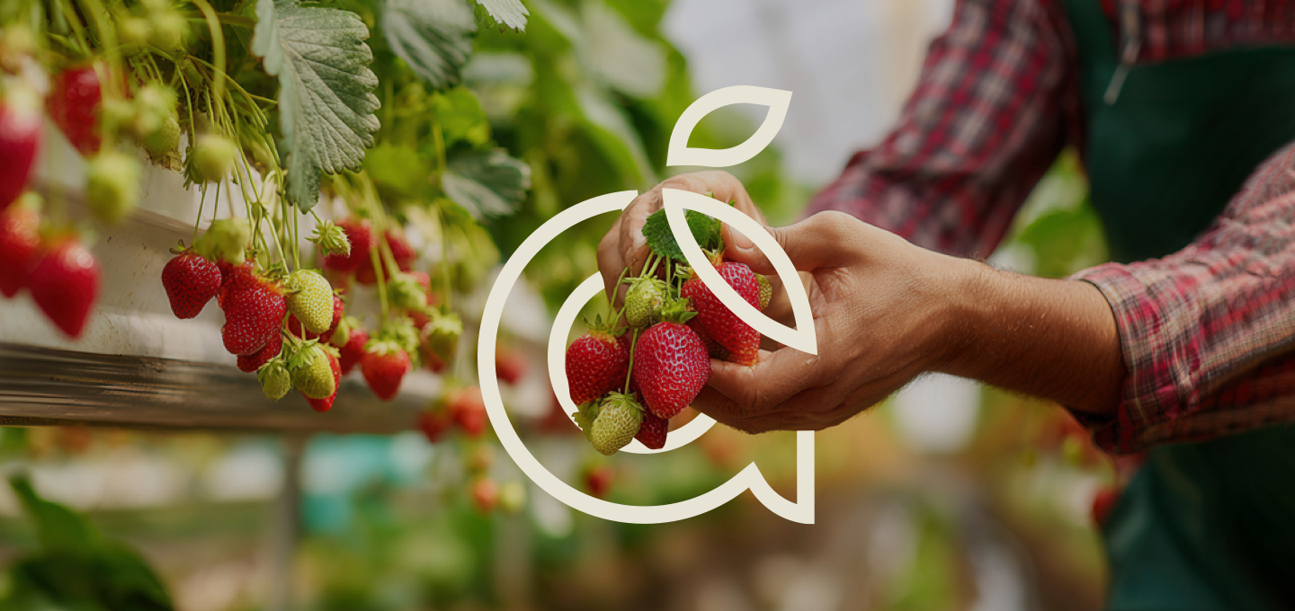 AmiciGrowers_Site-Hero-Image-1