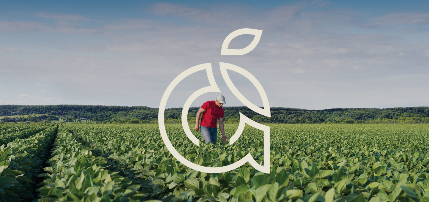 AmiciGrowers_Site-Hero-Image-2 3