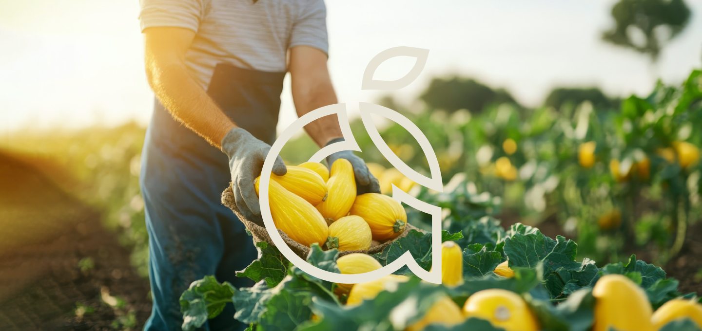 AmiciGrowers_Site-Hero-Image-5